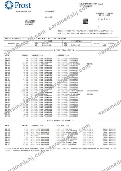 USA Frost Bank statement Word and PDF template